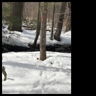 248 Old Turnpike Rd, Nottingham, NH 03290