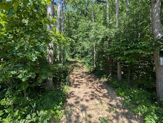 V/L North Ave, Bellevue, MI 49021