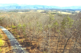 000 Short Hill Dr, Buchanan, VA 24066