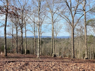 10 Arbor Creek Trail, Mineral Bluff, GA 30559