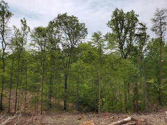 000 Spring Rd, Bremo Bluff, VA 23022