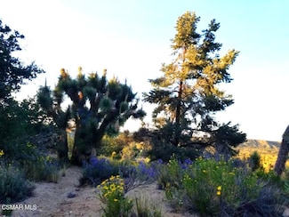 0 W Panorama Unit 225005664, Llano, CA 93544