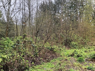 0 NE Taylor Way Unit 1924893, Chehalis, WA 98532