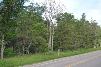 VL N McMaster's Bridge Rd, Grayling, MI 49738
