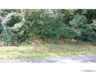 0 Halls Corners Rd Unit R318212, Covert, NY 14521