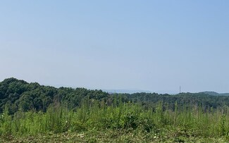 10 Acres Red Bud Rd, Ranger, GA 30734