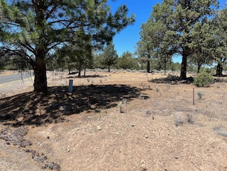 9-1 Lot 180 Shadyridge Dr Unit 9-1, Lake Shastina, CA 96094