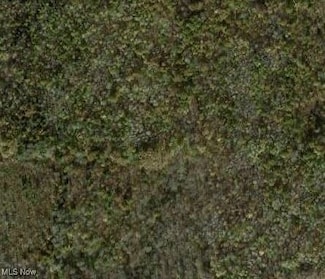 0 Lewis Rd, Pierpont Township, OH 44082