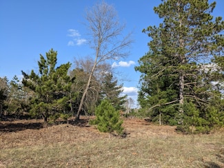1 Louhi St, Kaleva, MI 49645