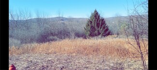 108 Scott Ave, Wellsville, NY 14895