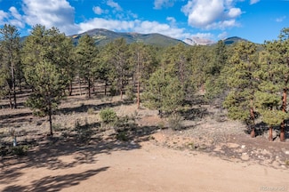 30664 Gray Jay Draw Unit 27, Buena Vista, CO 81211