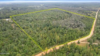 0 Pike Pond Rd Unit 762515, Chipley, FL 32428