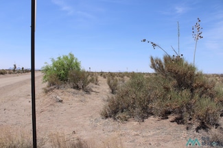 0 Pampas Rd SW Unit 20231651, Deming, NM 88030