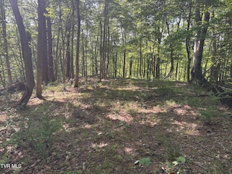 Tbd Skeetrock Rd, Clintwood, VA 24228