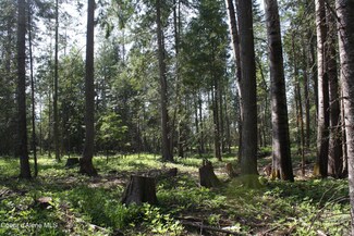 Lot 4 Riverlake Dr, Clark Fork, ID 83811
