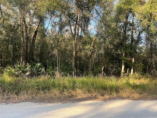0 Gresham Rd Unit MFRTB8358719, Webster, FL 33597