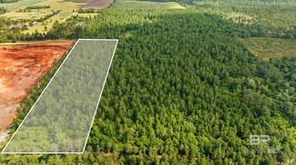 Parcel A Slapout Rd, Robertsdale, AL 36567