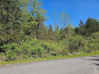 114 Circle Dr, Cairo, NY 12414