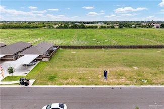 820 W Sunset Valley St, Alton, TX 78573