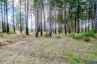 23488 Willa (Next To) Ln SE, Lyons, OR 97358