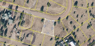 2277 Meadow Ln, Overgaard, AZ 85933