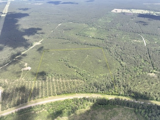 Highway 94, Groveton, TX 75845