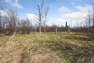 0 Potter Rd Unit 25019791, Bear Lake, MI 49614