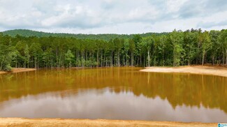 801 Magnolia Ln Unit 3, Vandiver, AL 35176