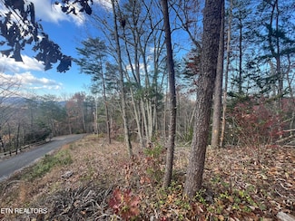 0 Pine Haven Dr Unit 1284247, Sevierville, TN 37862