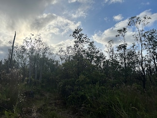 0 Mailenani Rd, Fern Forest, HI 96778