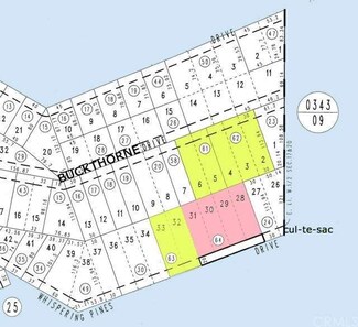 0 Buckthorne Dr Dr Unit E12077229, Cedarpines Park, CA 92322