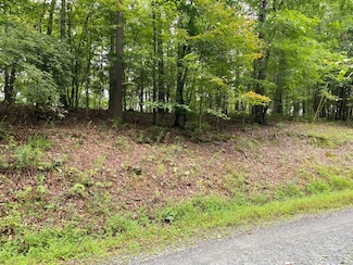 0 Julep Cir Unit 12130529, Ellijay, GA 30540