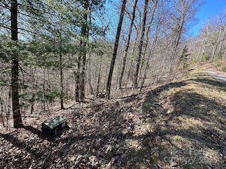 936 Sunnyside Dr Unit Lot 27, Marshall, NC 28753