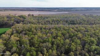 2274 Sawmill Rd, Shaw, MS 38773