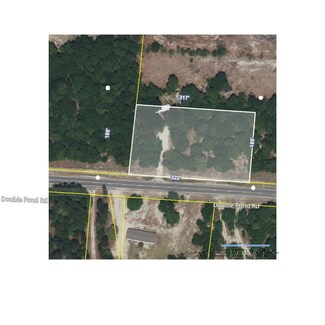 1141 Double Pond Rd, Blackville, SC 29817