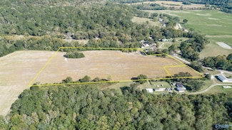 +/-  9.92 Acres Alabama 65, Princeton, AL 35766