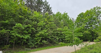 5083 W Golf Haven Dr, Kalkaska, MI 49646