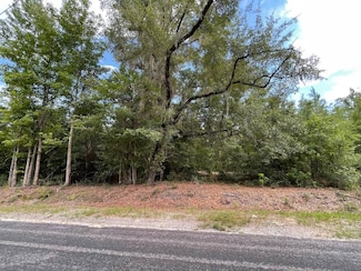 TBD Rivers Hill Rd Unit B2, Varnville, SC 29944