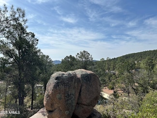 1703 E Redbud Ct Unit 878, Payson, AZ 85541