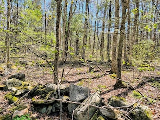 lot 13 Skyline Trail, Chester, MA 01011
