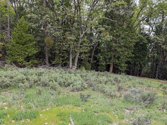 16805 Jones Ridge Rd, Grass Valley, CA 95945