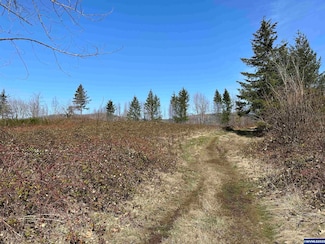 0 Thistledown Estates (Lot Unit 16) Ln, Gates, OR 97346