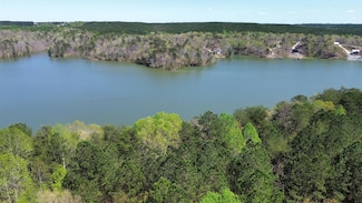 LOT 3 County Road 204, Arley, AL 35541