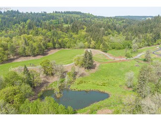 19580 NE Niederberger Rd, Dundee, OR 97115