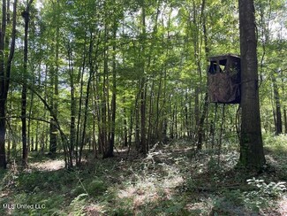0 Pettey Rd, Forest, MS 39074