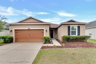 11805 Tangle Weed Way, Gibsonton, FL 33534