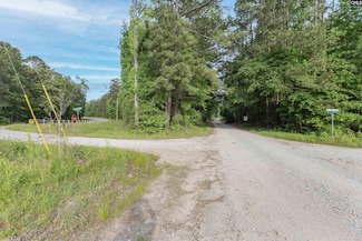 TBD Saint Peters Church Rd, Chapin, SC 29036