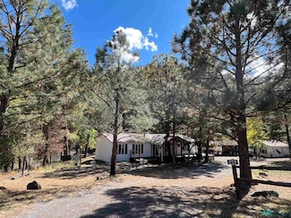 259 Ski Run Rd, Alto, NM 88312