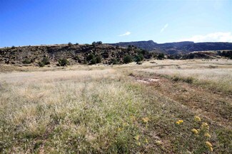TBD 45 1 2 Rd, de Beque, CO 81630