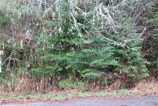 56002 317th Ave E, Ashford, WA 98304